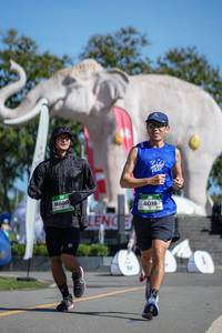 BIB: 
                            <button type="button" onclick="openModal(26544839)" class="btn btn-primary btn-sm float-right btn-popup" data-toggle="modal" data-target=".modal-high-quality">
                        <i class="fas fa-shopping-cart"></i> Add to Cart
                    </button>
                                            <button type="button" onclick="isThisMe(26544839, true)" class="btn btn-success btn-sm float-right btn-popup btn-isme hidden" data-toggle="tooltip" data-placement="bottom" title="นี่คือรูปของคุณใช่ไหม คลิกที่นี่เพื่อเอาเข้าอัลบั้ม">
                        <i class="fas fa-plus"></i> Add to album
                    </button>
                    <button type="button" onclick="isThisMe(26544839, false)" class="btn btn-warning btn-sm float-right btn-popup btn-isnotme hidden">
                        <i class="fas fa-ban"></i> Remove from album
                    </button>